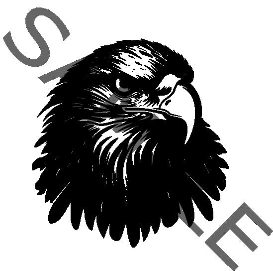 Eagle 1 Design