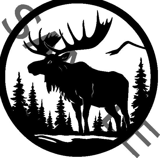 Moose 1 Design